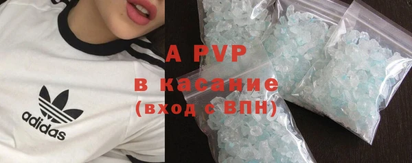 ПСИЛОЦИБИНОВЫЕ ГРИБЫ Верхний Тагил