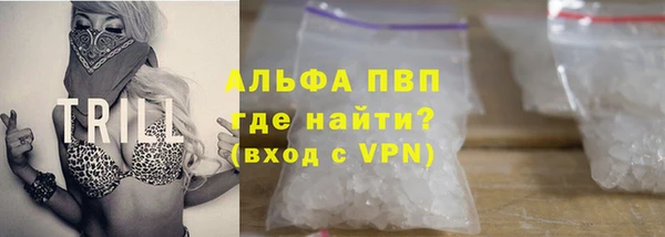 ПСИЛОЦИБИНОВЫЕ ГРИБЫ Верхний Тагил